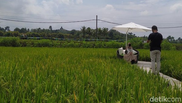 Adapun untuk hari biasa buka mulai pukul 08.00 sampai 17.00 WIB. Sedangkan untuk hari Sabtu dan Minggu buka mulai pukul 06.30 sampai 18.00 WIB. Adapun untuk hari biasa buka mulai pukul 08.00 sampai 17.00 WIB. Sedangkan untuk hari Sabtu dan Minggu buka mulai pukul 06.30 sampai 18.00 WIB.