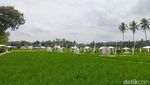 SvargaBumi, Persawahan Cantik di Sekitar Candi Borobudur