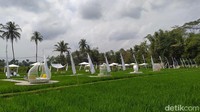 Saat pandemi, khusus hari Kamis kawasan wisata ini ditutup.  
