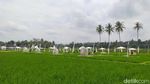 SvargaBumi, Persawahan Cantik di Sekitar Candi Borobudur
