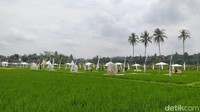 Walaupun baru dibuka Sabtu, (8/8/20200, antusias pengunjung cukup tinggi. Untuk per harinya rata-rata pengunjung sampai 100 orang yang datang dari berbagai daerah. Pengunjung yang datang memanfaatkan lokasi spot selfie yang ada.  