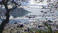 Negara kepulauan Samudra Hindia, Mauritius berada di ambang bencana lingkungan setelah kapal pengangkut minyak menghantam terumbu karang di lepas pantainya pada akhir Juli. Sophie Seneque via AP.