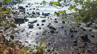 Kecelakaan itu dapat menyebabkan bencana lingkungan yang lebih besar jika kapal bermuatan bahan bakar seperti minyak, solar dan pelumas tersebut pecah lebih besar lagi. Sophie Seneque via AP.