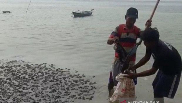 Tumpahan minyak di Pulau Pari Kepulauan Seribu