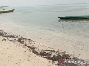 Analisis Sudin LH soal Asal Tumpahan Minyak Mentah di Pulau Pari