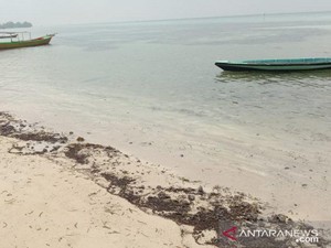 Analisis Sudin LH soal Asal Tumpahan Minyak Mentah di Pulau Pari