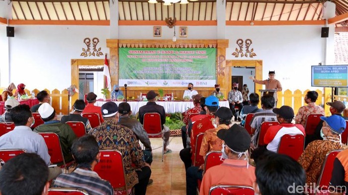 bupati anas
