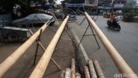 Pohon pinang tersebut dijual mulai dari harga Rp 800 ribu hingga Rp 1,8 juta.