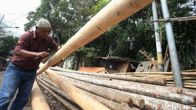 Foto Penjual Pohon Pinang Siap Meriahkan HUT RI