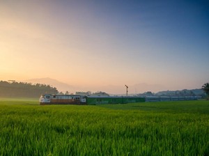 Dukung Perputaran Ekonomi, Jasa Angkut Penumpang & Barang KAI Meroket