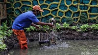 Dengan volume 12,5 meter kubik, alat biodigester tersebut mampu menampung 250 kg sampah organik perharinya dan membutuhkan waktu 14 sampai 30 hari untuk menghasilkan gas metana 6 sampai 9 kg dan 500 liter pupuk cair. 