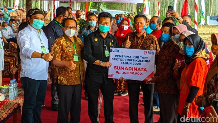 mentan syahrul yasin limpo