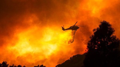 Potret Kebakaran Hutan di California