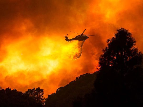 Potret Kebakaran Hutan di California