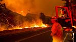 Potret Kebakaran Hutan di California