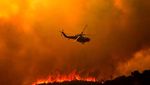 Potret Kebakaran Hutan di California