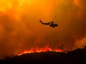 Dilanda Kebakaran Hutan, Gubernur California Minta Bantuan Internasional