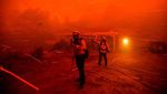 Potret Kebakaran Hutan di California