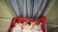 Setelah sang ibu melahirkan, bayi-bayi yang baru lahir tersebut akan menjalani pemeriksaan dan ditempatkan di sebuah tempat tidur bayi yang dilapisi dengan plastik.