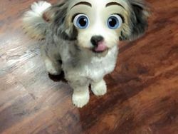 Kocak, Filter Snapchat Bikin Anjing Bak Kartun Disney