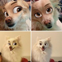 snapchat anjing disney
