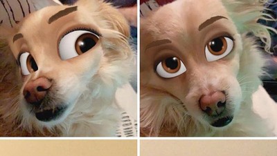 Kocak, Filter Snapchat Bikin Anjing Bak Kartun Disney