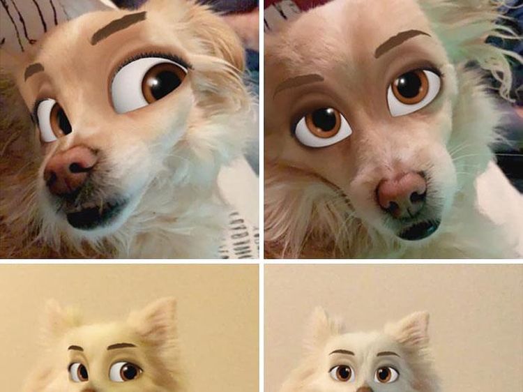 Kocak, Filter Snapchat Bikin Anjing Bak Kartun Disney