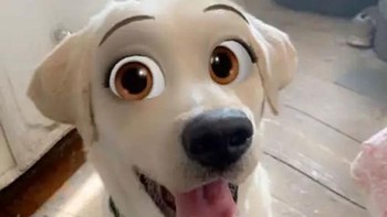 Teknologi pengenalan wajah dari aplikasi juga memungkinkan berbagai ekspresi wajah, terutama yang berkaitan dengan bagaimana mata berubah. (Foto: Boredpanda)