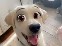 Kocak, Filter Snapchat Bikin Anjing Bak Kartun Disney