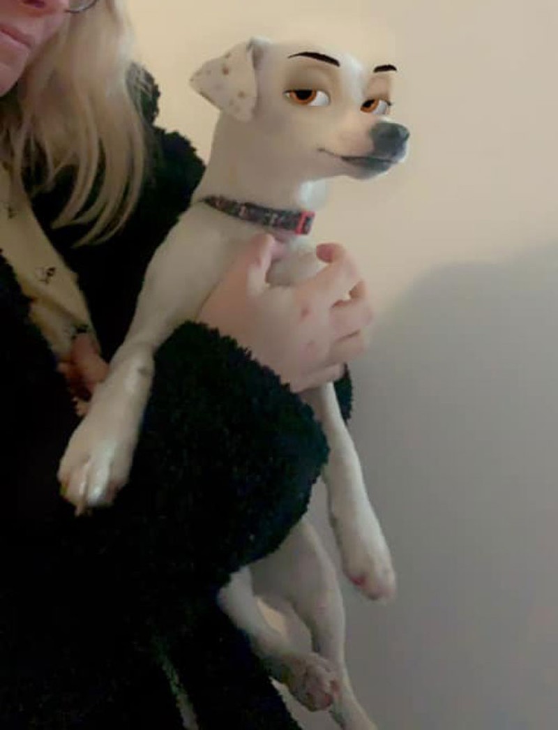 snapchat anjing disney