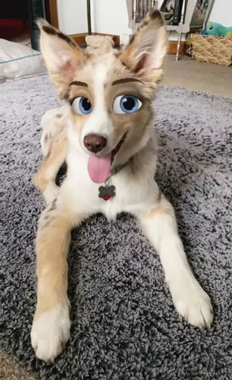 snapchat anjing disney snapchat anjing disney