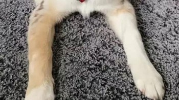 Bagian terbaiknya adalah banyak dari ribuan orang itu melanjutkan dan mencoba filter sendiri.  (Foto: Boredpanda)