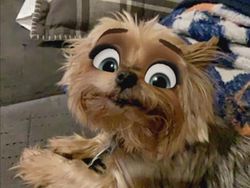 Kocak, Filter Snapchat Bikin Anjing Bak Kartun Disney