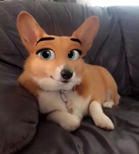 snapchat anjing disney