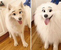 snapchat anjing disney