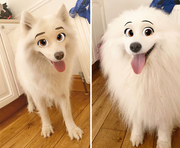 snapchat anjing disney snapchat anjing disney
