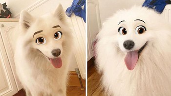 Meskipun filter ini tak dinamai versi Disney melainkan cartoon face, namun gaya yang dihasilkan seperti karakter hewan Disney. (Foto: Boredpanda)