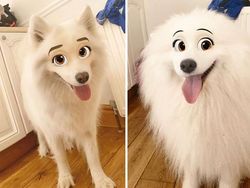 Kocak, Filter Snapchat Bikin Anjing Bak Kartun Disney