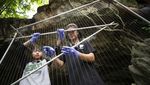 Ilmuwan Thailand Berburu Kelelawar untuk Lacak Asal Usul Corona