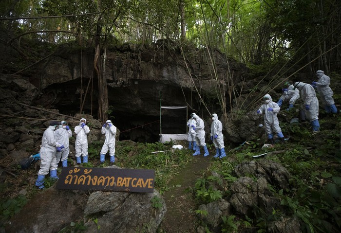 Thailand Bat Catchers Photo Gallery Researchers put on PPE suits and stand in front of a cave entrance as they prepare to catch bats at Sai Yok National Park in Kanchanaburi province, west of Bangkok, Thailand, Friday, July 31, 2020. Researchers in Thailand have been trekking though the countryside to catch bats in their caves in an effort to trace the murky origins of the coronavirus.(AP Photo/Sakchai Lalit)