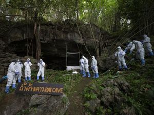 Ilmuwan Thailand Berburu Kelelawar untuk Lacak Asal Usul Corona