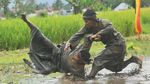 Foto Memukau Silek Lanyah Sambut HUT RI