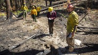 Gregg Sasek, salah satu personel Dinas Kehutanan menunjukkan tanah di sepanjang jalur yang telah terbakar habis.  