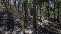 Bighorn Fire adalah sebutan kebakaran hutan aktif di Pegunungan Santa Catalina di utara Tucson, Arizona.  