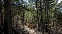 Personel Dinas Kehutanan berjalan melewati bekas luka bakar yang disebabkan oleh Bighorn Fire di Taman Nasional Coronado dekat Tucson, Arizona.  