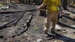 Foto-foto Taman Nasional Coronado AS Pascakebakaran Hebat