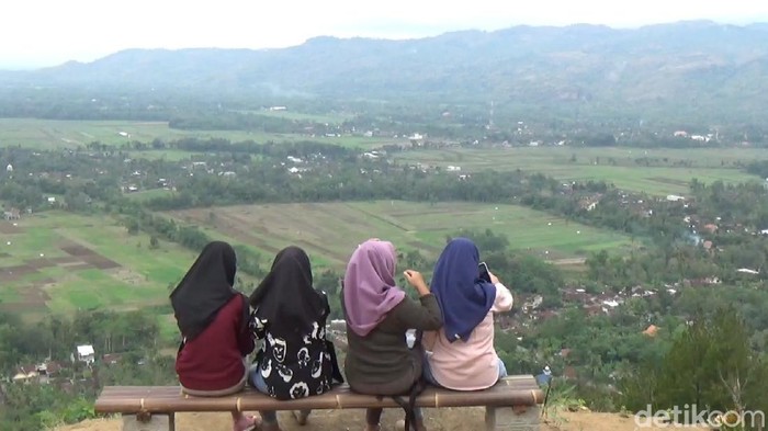 Bukit Belik Waru di Trenggalek