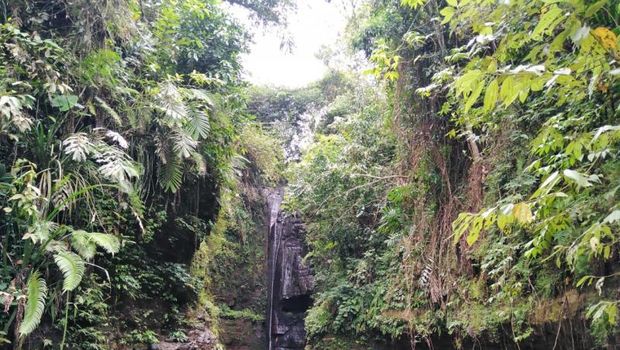 Curug Kaliurip