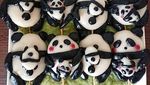 10 Dango yang Bentuknya Lucu, dari Kelinci hingga Panda