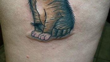 Kucing pun menggunakan masker. Foto: Boredpanda